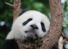 一个月夜班也可以精力旺盛，因为我做对了这几件事